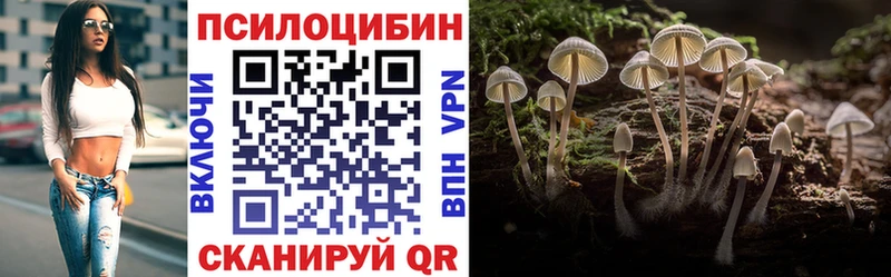 Галлюциногенные грибы GOLDEN TEACHER  Купить где  Лукоянов 